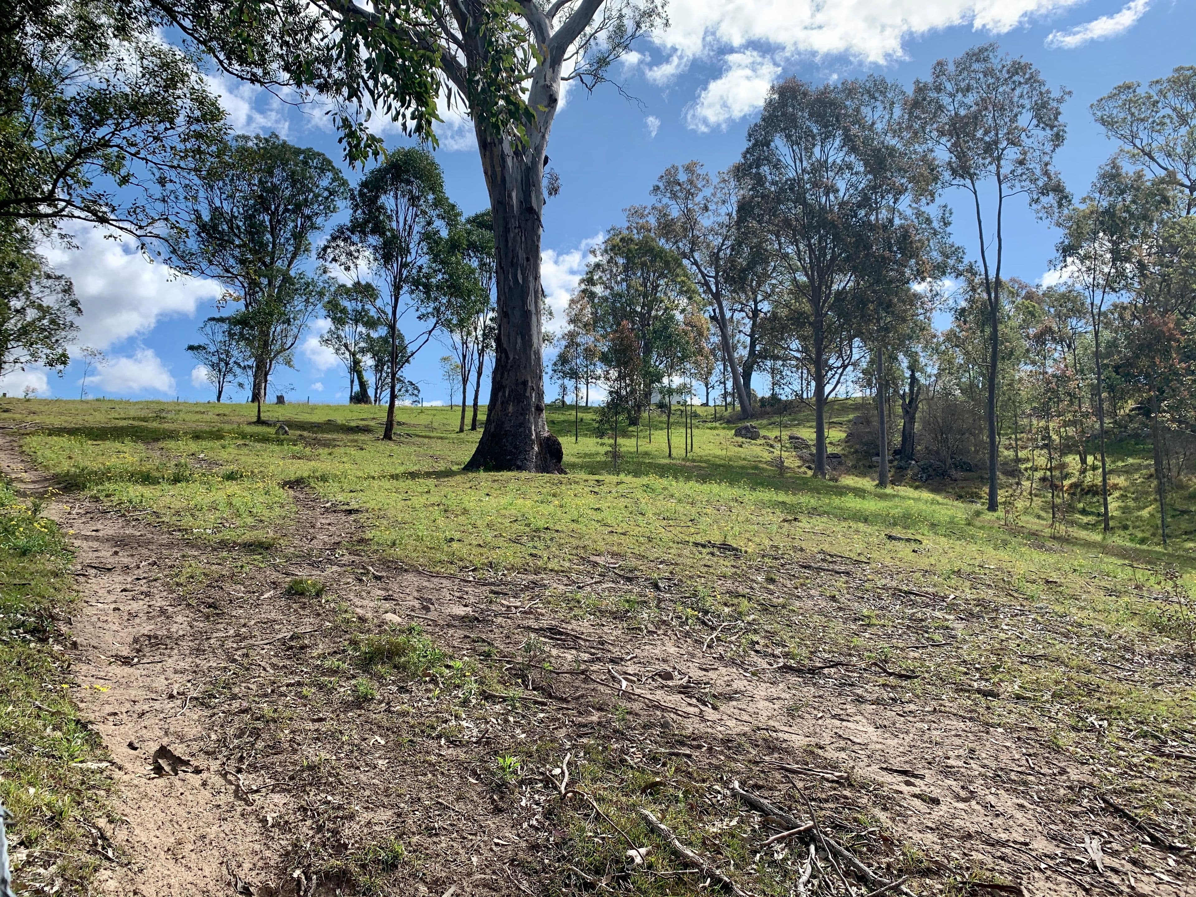 Lot 25 Wade Street, Dungog NSW 2420, Dungog - Thumbnail 3