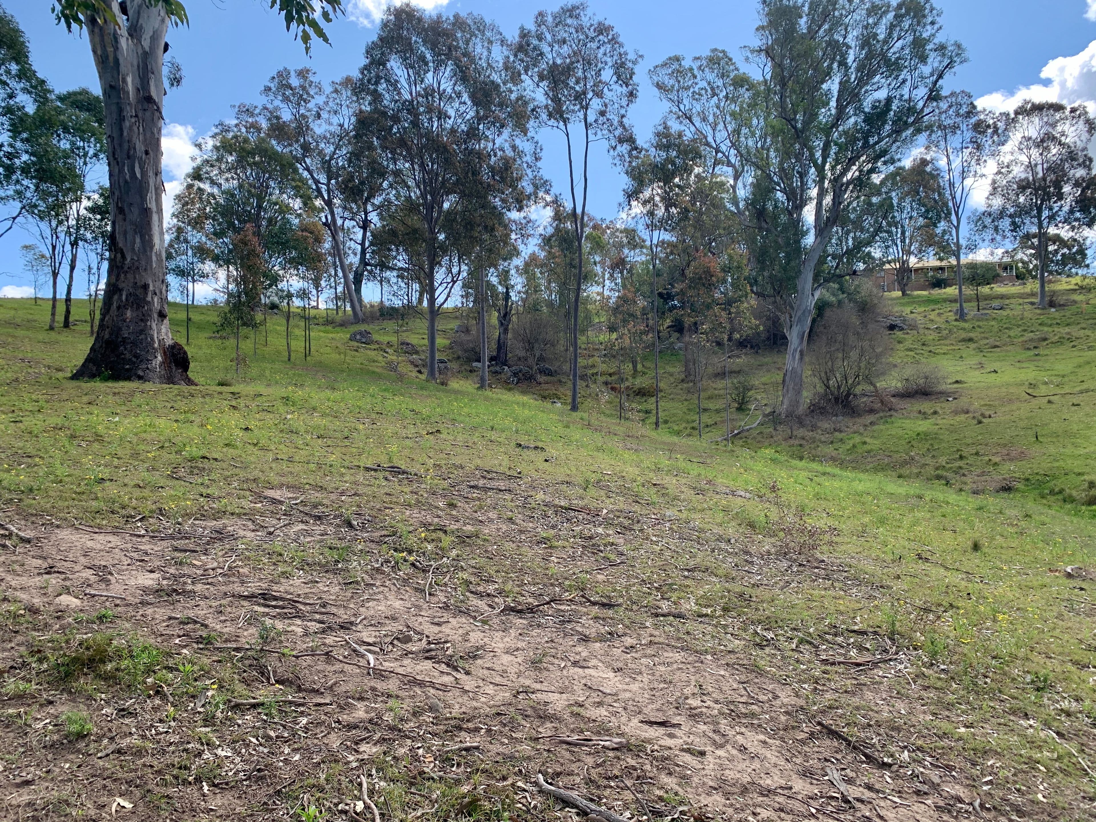Lot 25 Wade Street, Dungog NSW 2420, Dungog - Thumbnail 4
