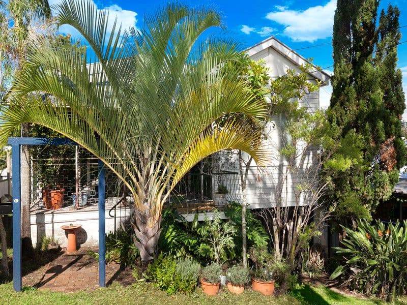 47 Alma Street, Paddington QLD 4064, Paddington - Thumbnail 2