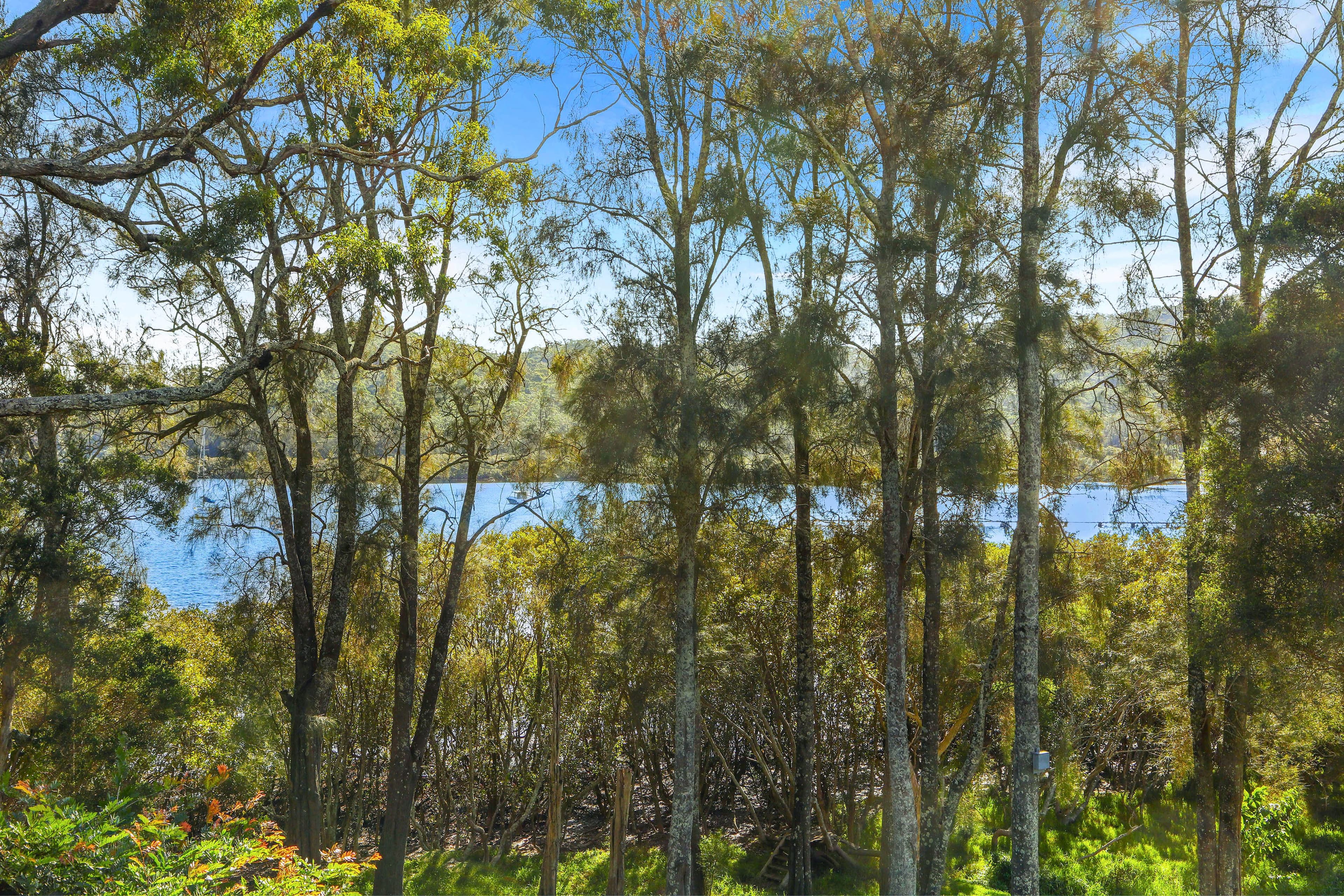 19 Wilkie-King Avenue, Saratoga NSW 2251, Saratoga - Thumbnail 4
