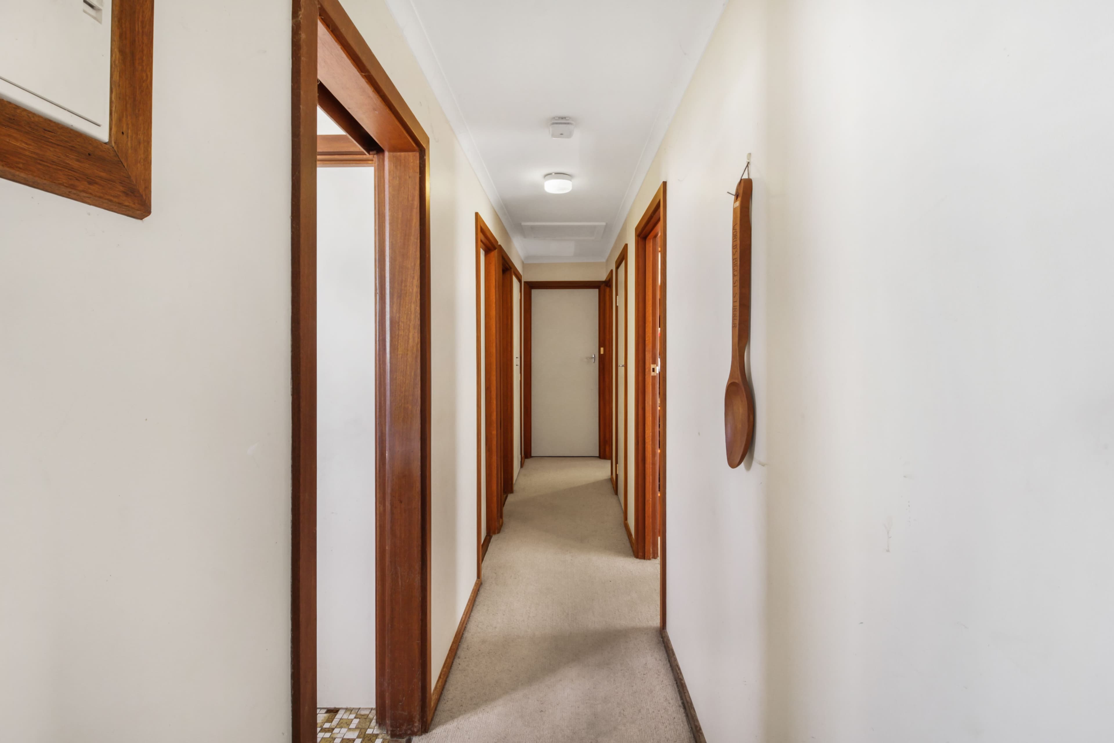 14 Baynes Street, Barmera SA 5345, Barmera - Thumbnail 5
