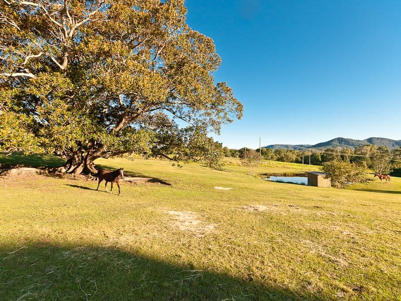 MT SAMSON QLD 4520, Mt Samson - Thumbnail 4