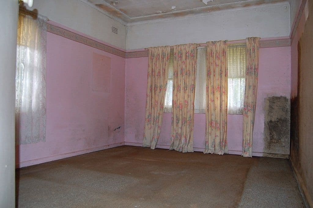 19 Frederick Avenue, Granville NSW 2142, South Granville - Thumbnail 4