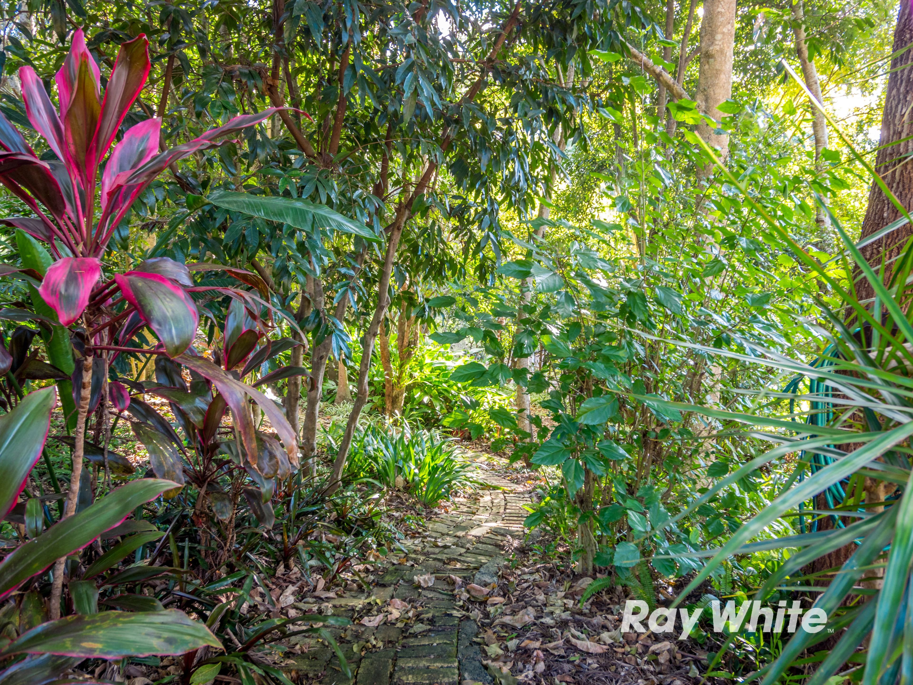 122 Mountain View Drive, Goonellabah - Thumbnail 4