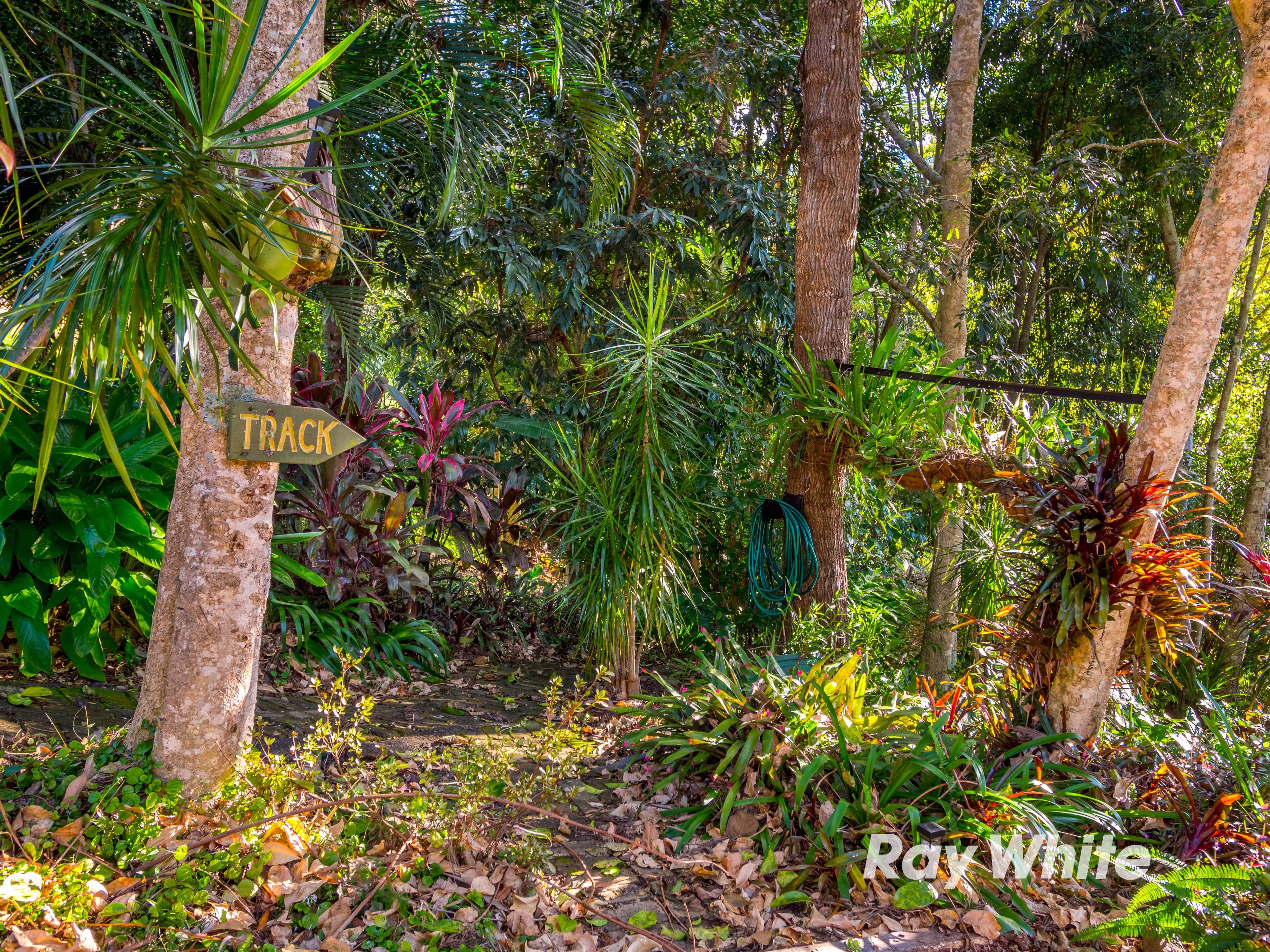 122 Mountain View Drive, Goonellabah - Thumbnail 7