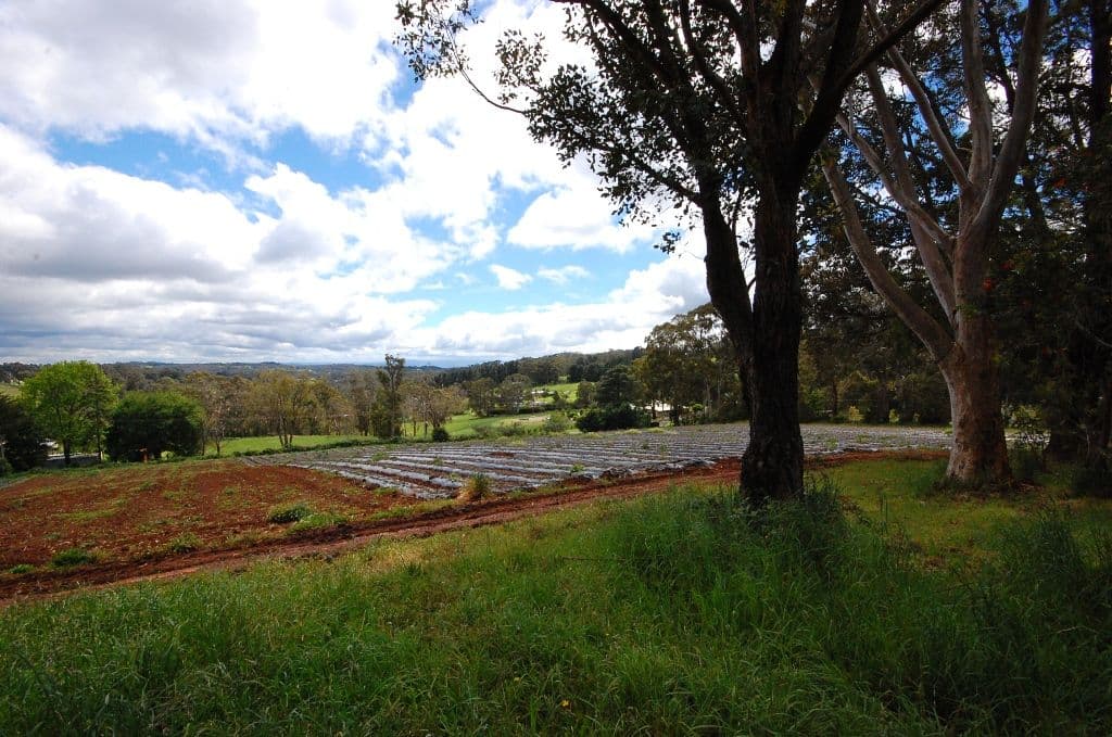 10 Lewis Road, WANDIN NORTH VIC 3139, Wandin North - Image 1