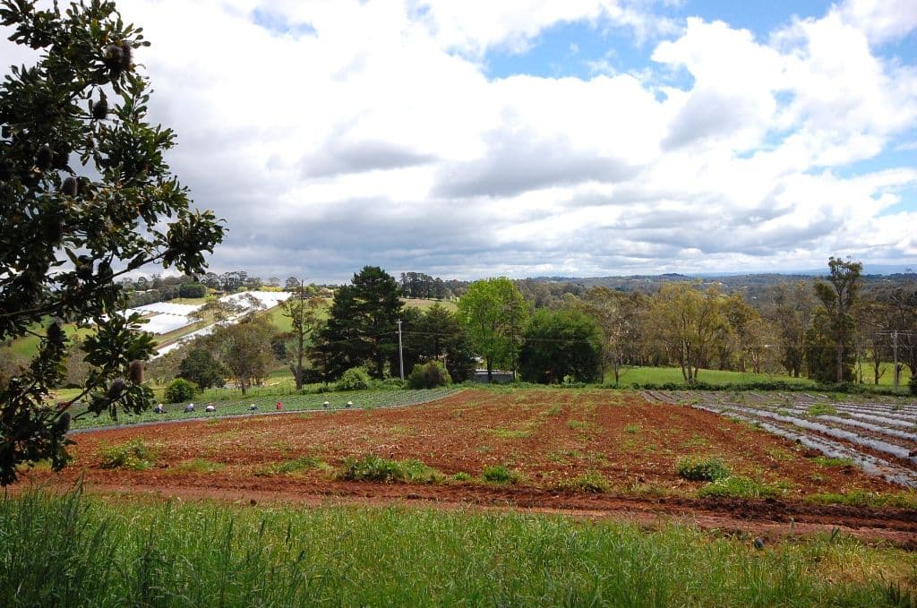 10 Lewis Road, WANDIN NORTH VIC 3139, Wandin North - Thumbnail 3
