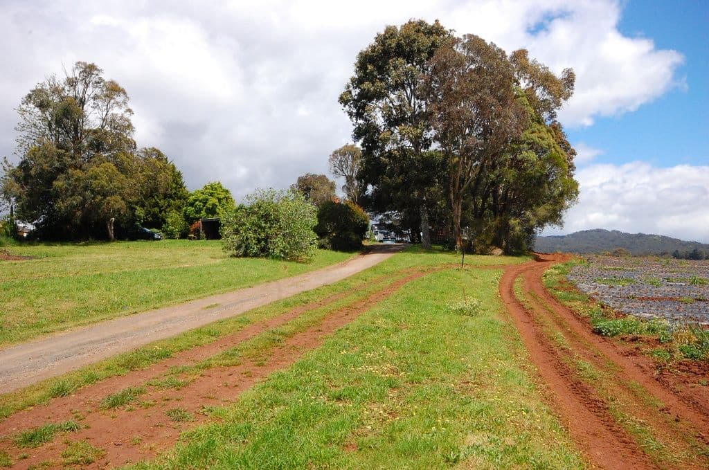 10 Lewis Road, WANDIN NORTH VIC 3139, Wandin North - Thumbnail 6