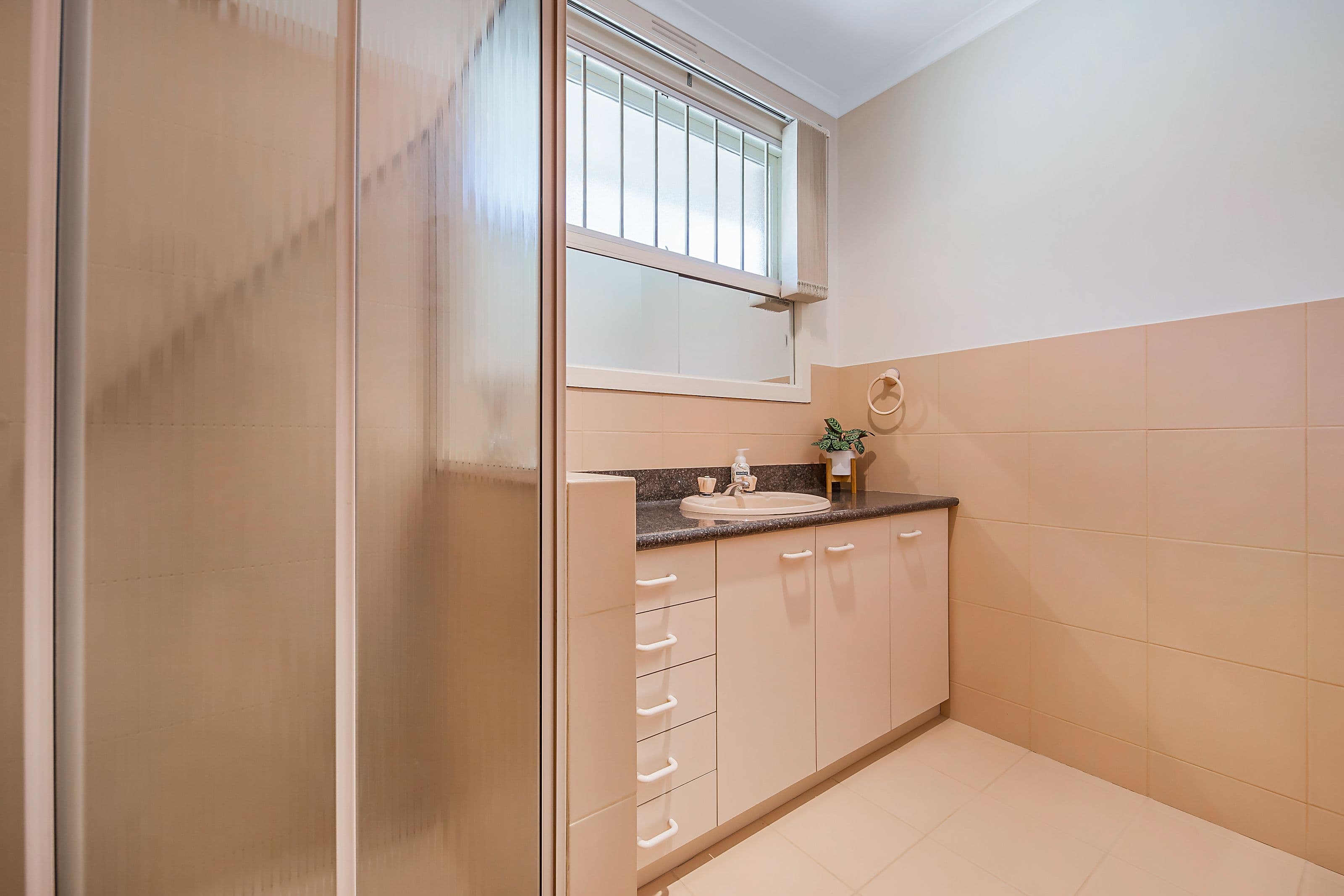 439 Waverley Road, Mount Waverley VIC 3149, Mount Waverley - Thumbnail 6