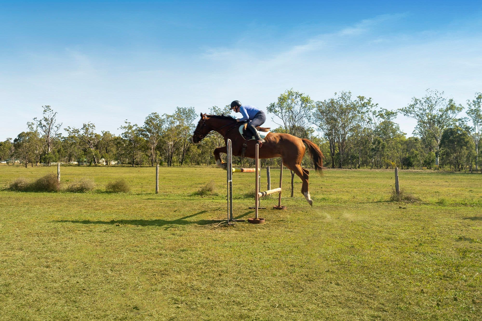 49 Glen Cairn Road, Glen Cairn QLD 4342, Glen Cairn - Thumbnail 5