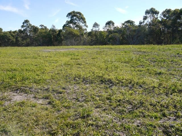 Lot 6 Sunbury Street, BUCCAN QLD 4207, Buccan - Thumbnail 2