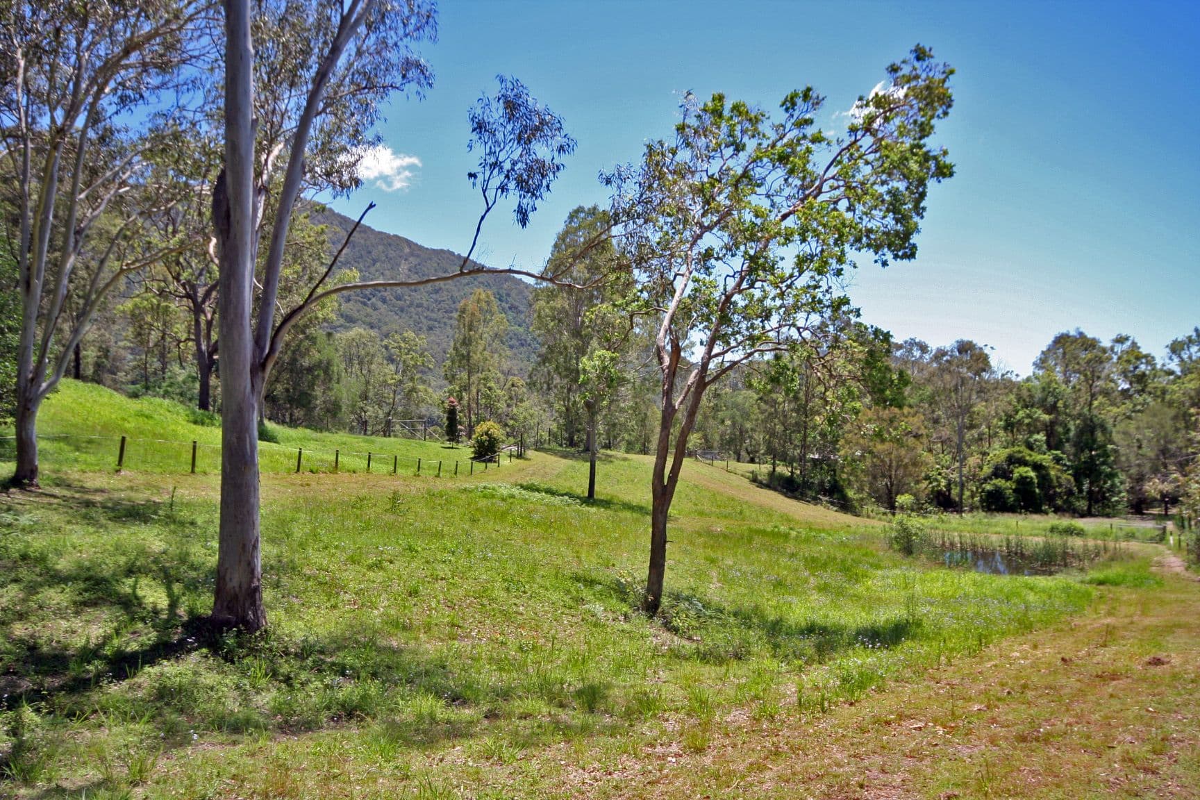MT SAMSON QLD 4520, Mt Samson - Thumbnail 4