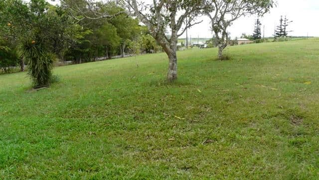 9 Trumper Place, Pottsville, NSW, 2489, Pottsville - Thumbnail 4