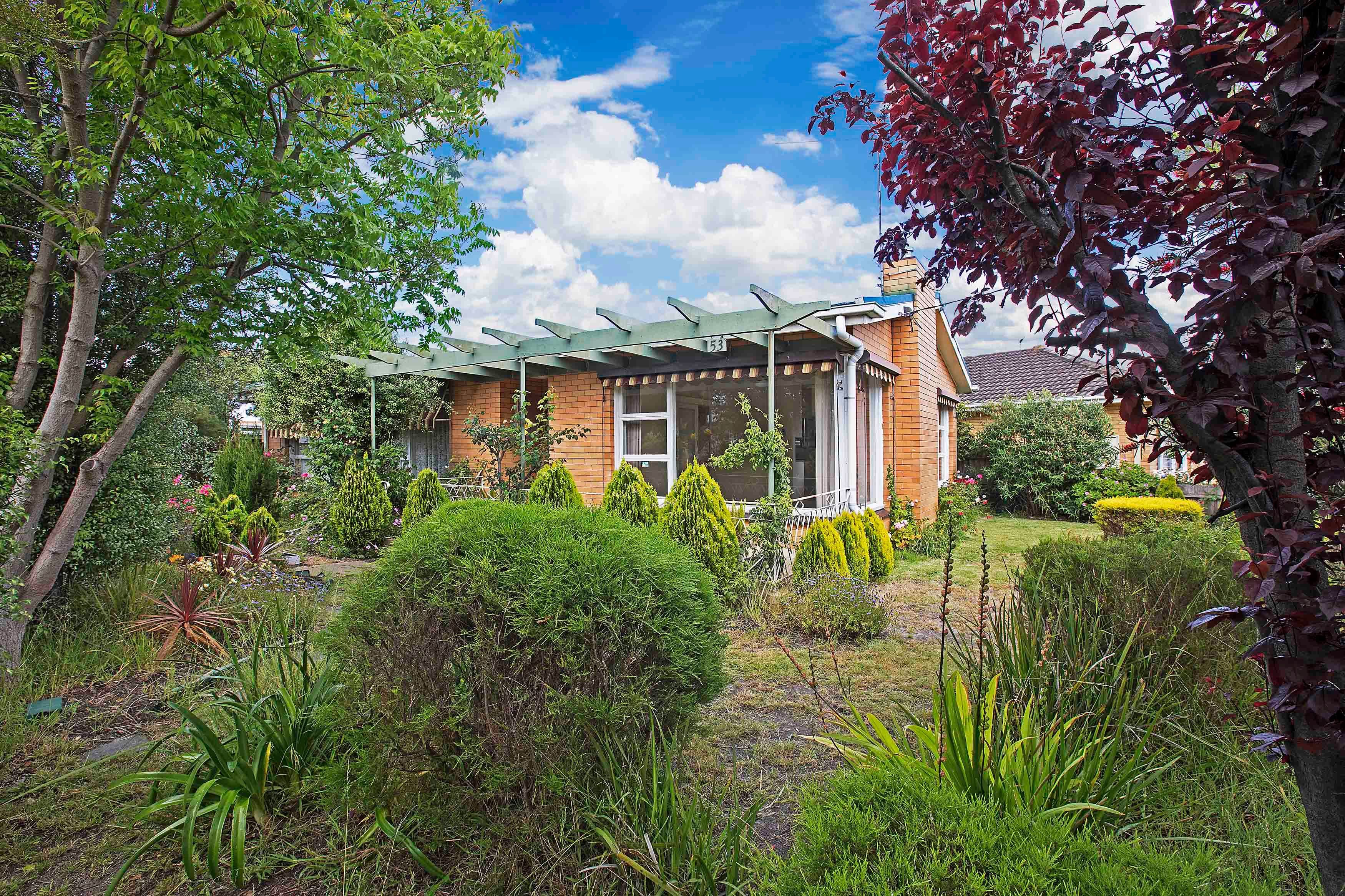 53 Davis Street, Belmont VIC 3216, Belmont - Image 1