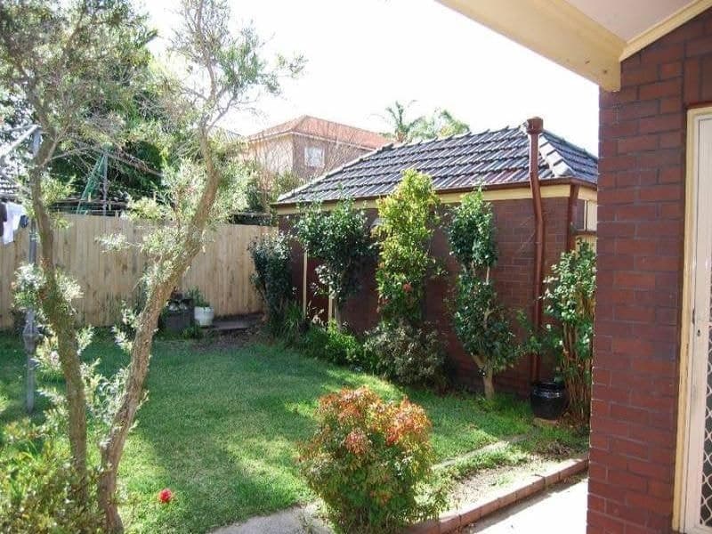62 Henley Marine Drive, Rodd Point - Thumbnail 8