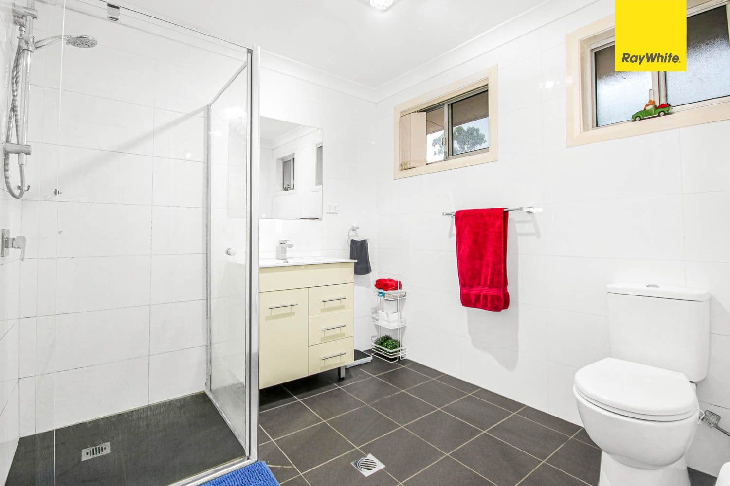 9 Roche Grove, Shalvey NSW 2770, Shalvey - Thumbnail 4