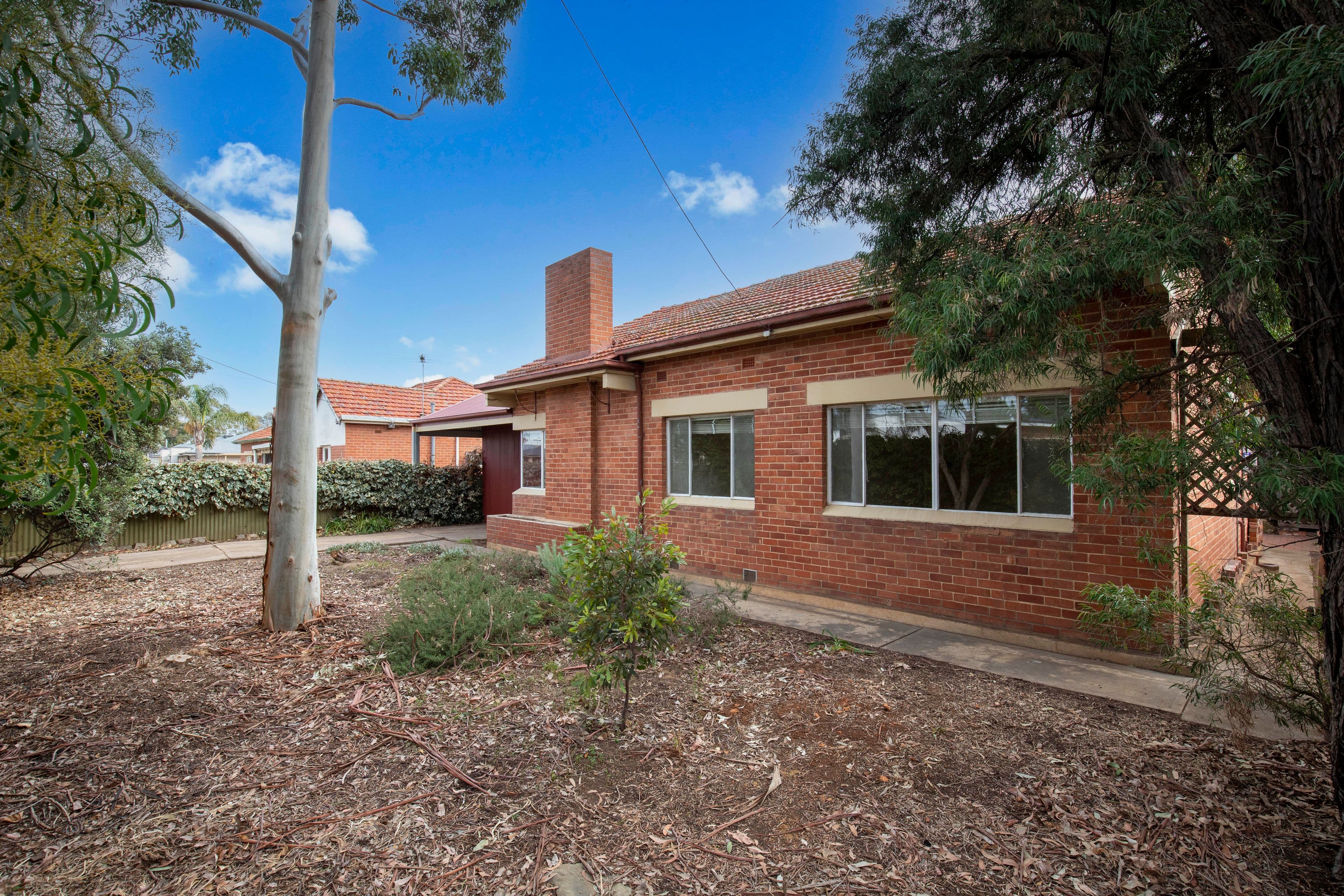 19 Levistone Street, Seaton SA 5023, Seaton - Thumbnail 3