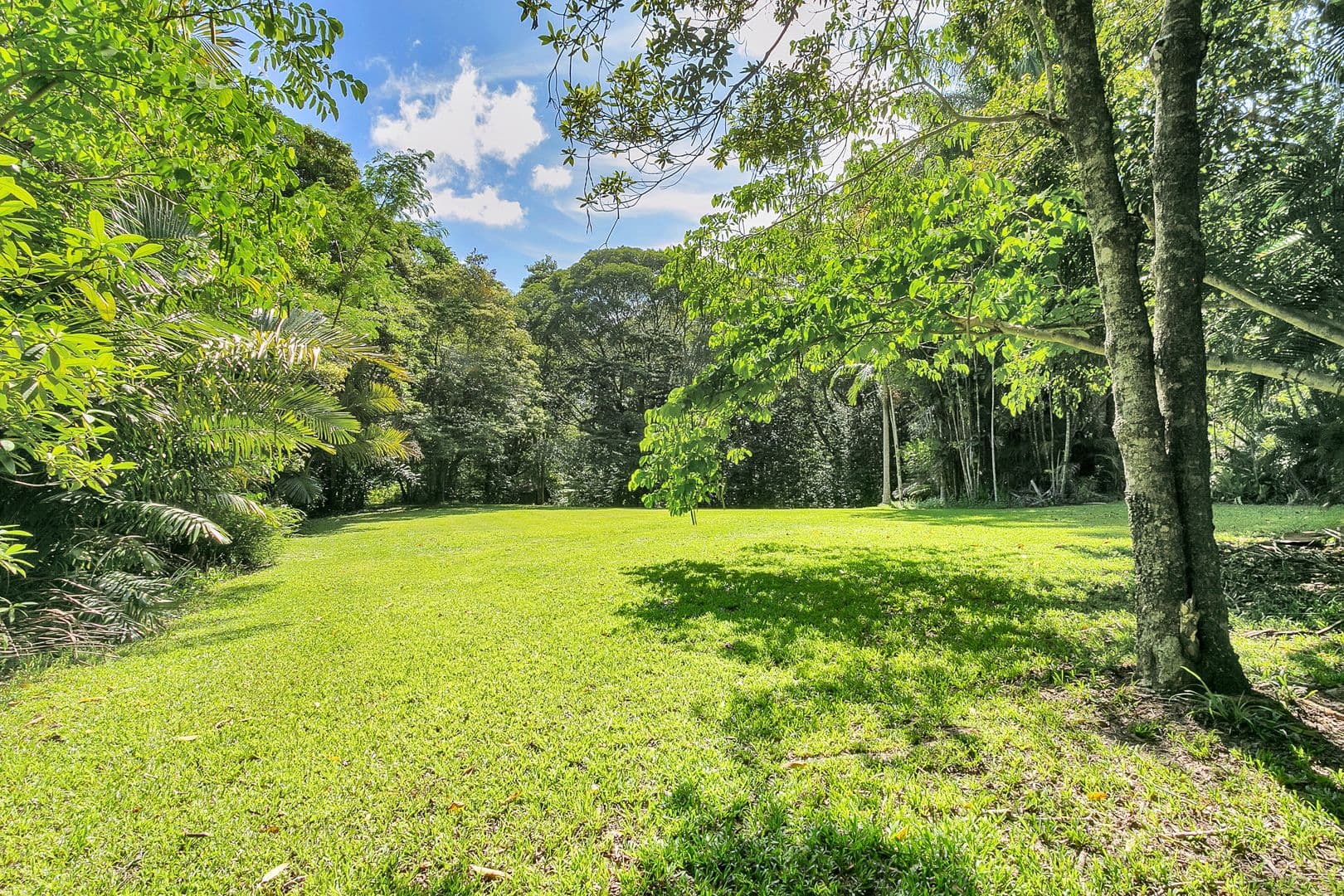 23 Stoney Creek, Speewah QLD 4881, Speewah - Thumbnail 7
