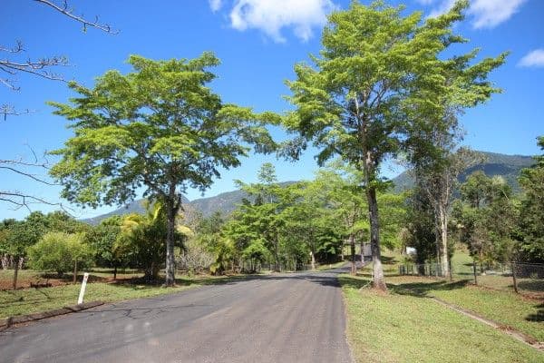 Lot 193 Licence Street, Goldsborough QLD 4865, Goldsborough - Thumbnail 8