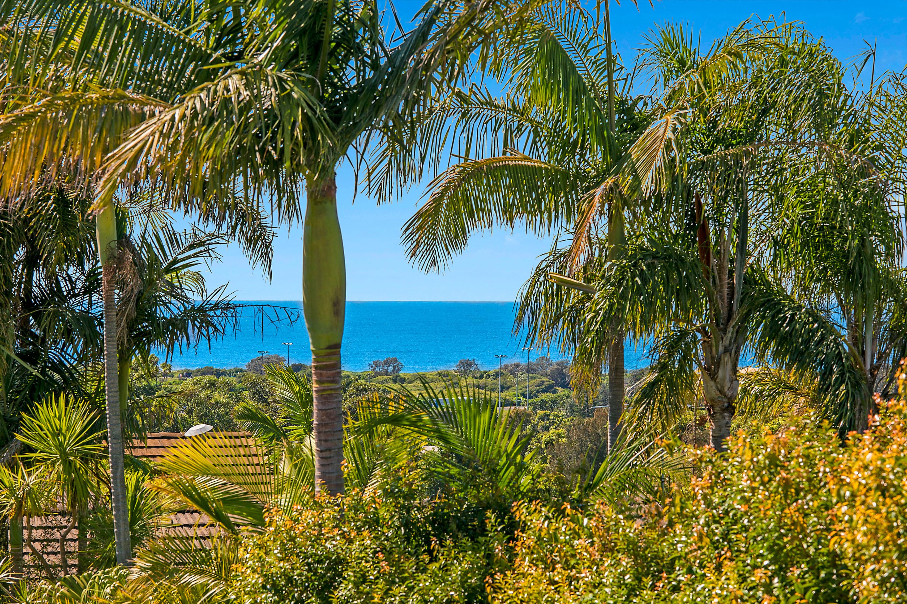 37 Makim Street, North Curl Curl - Thumbnail 4