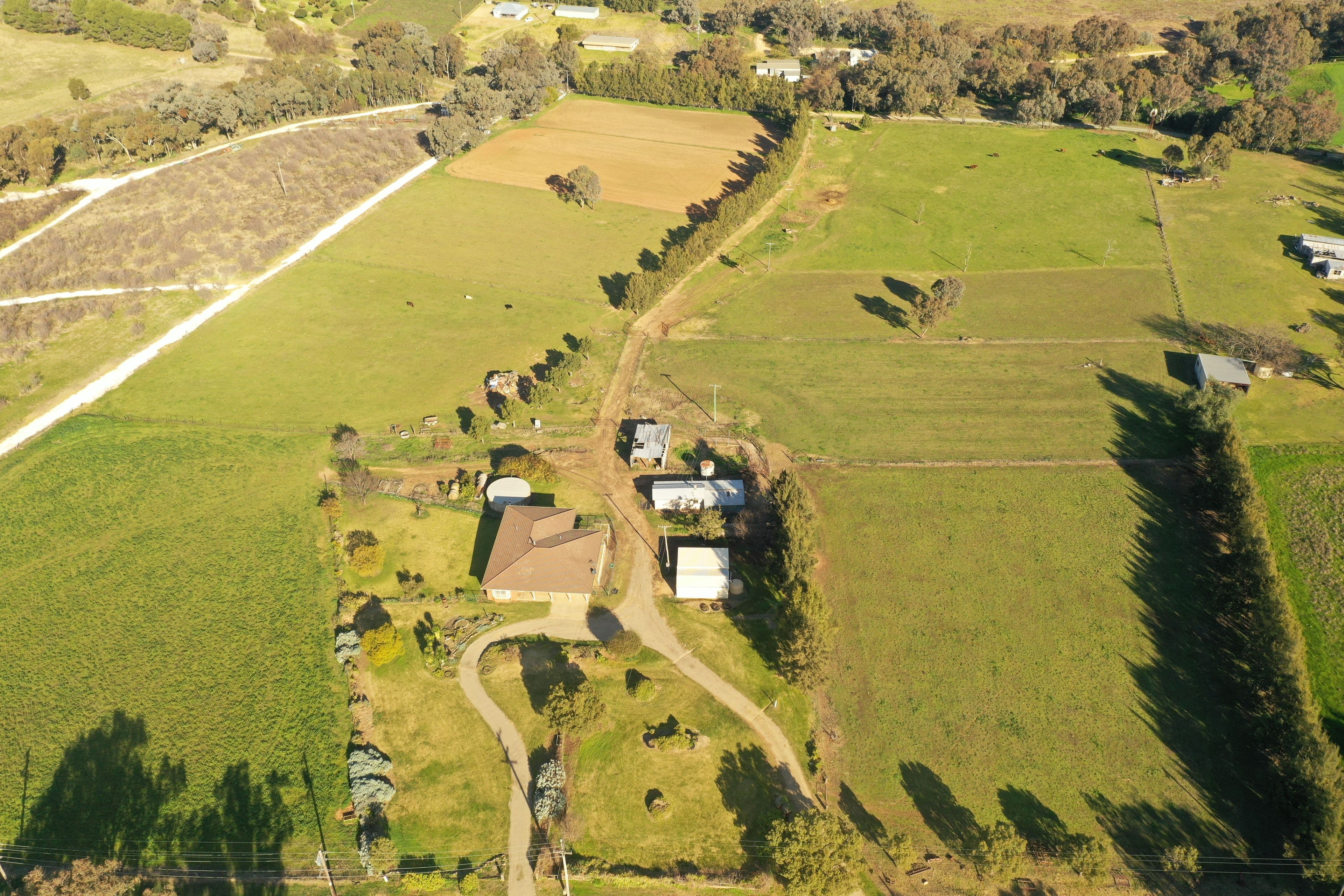 4173 Murringo Road, Young NSW 2594, Young - Image 1
