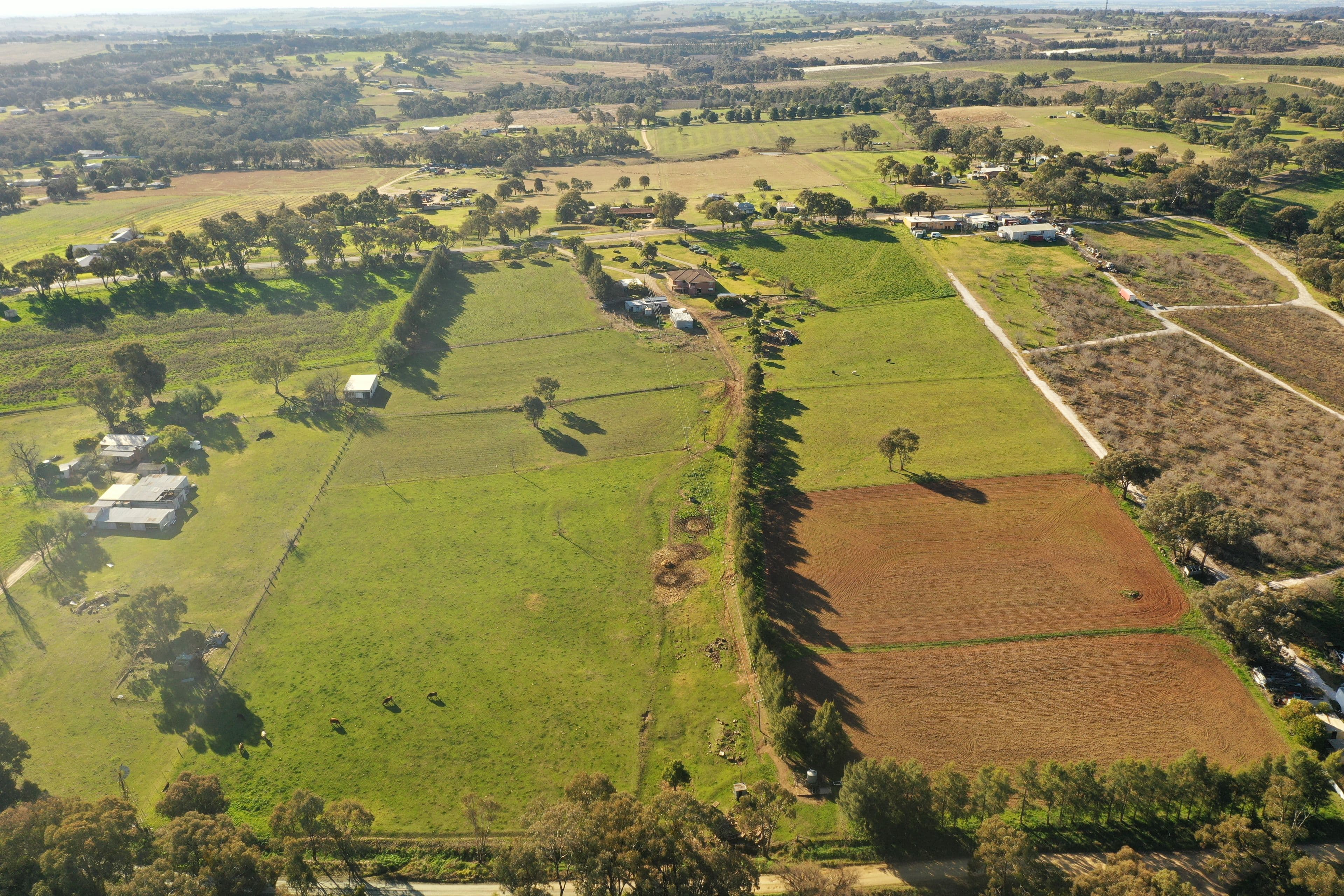 4173 Murringo Road, Young NSW 2594, Young - Thumbnail 2