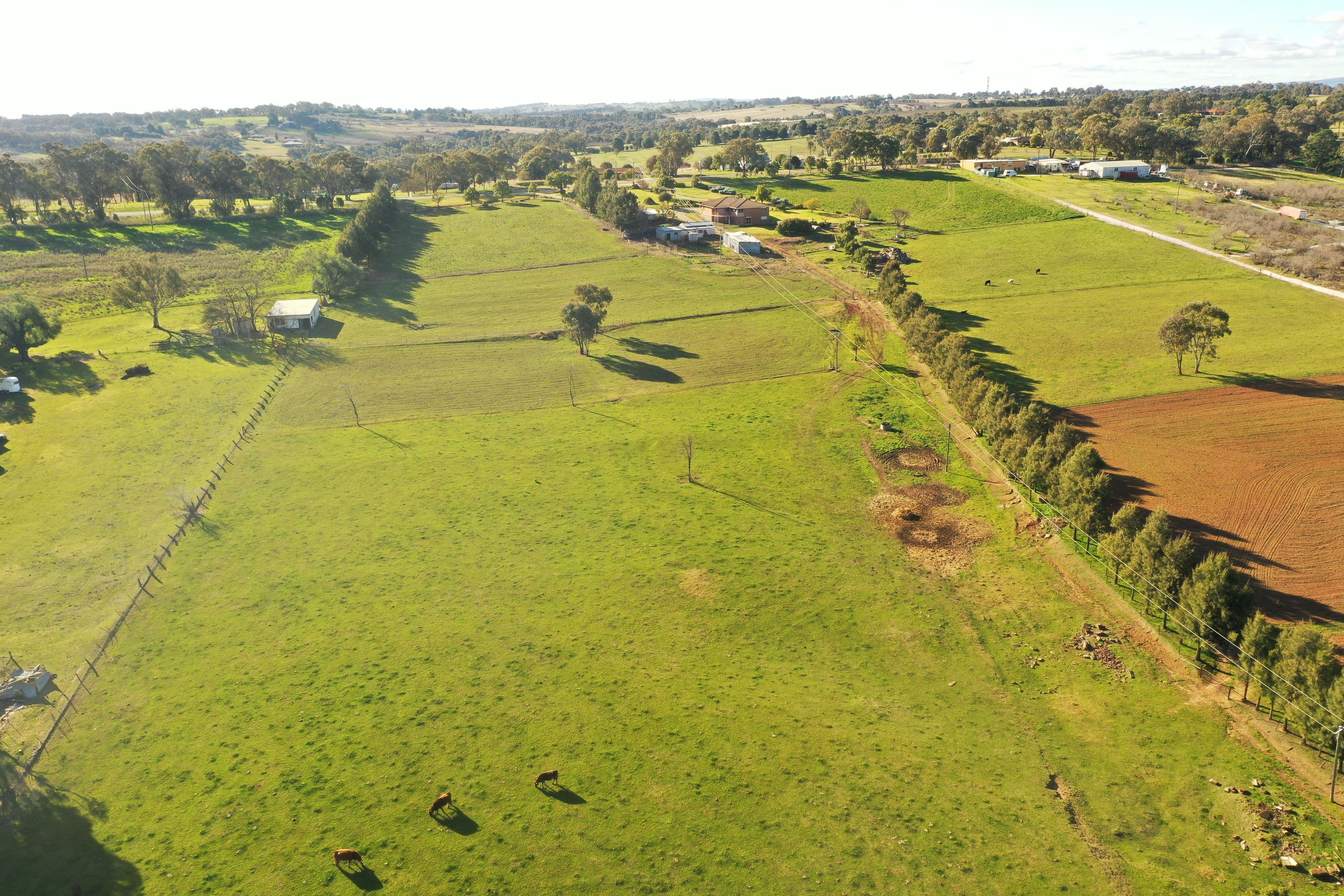 4173 Murringo Road, Young NSW 2594, Young - Thumbnail 5