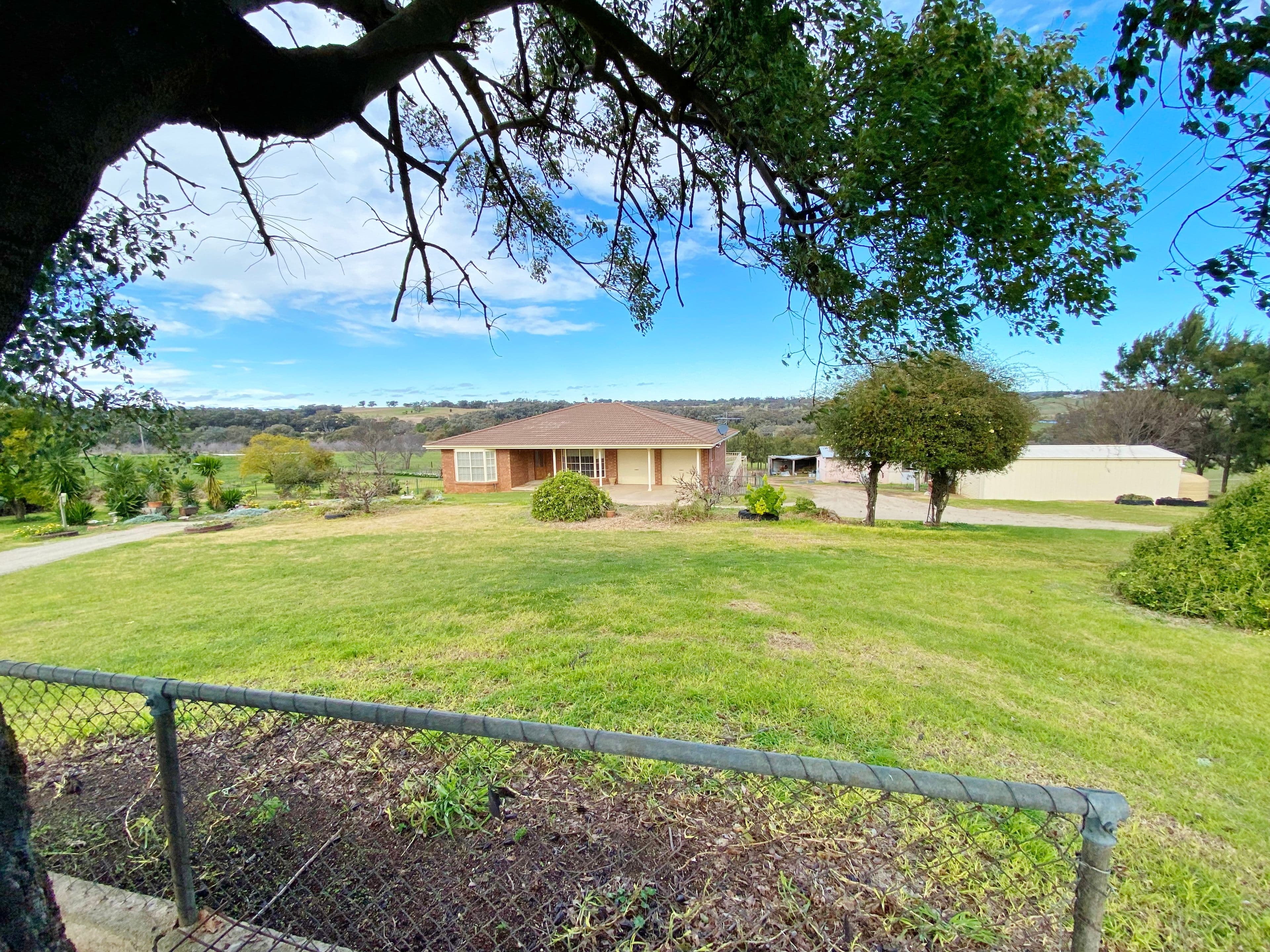 4173 Murringo Road, Young NSW 2594, Young - Thumbnail 6
