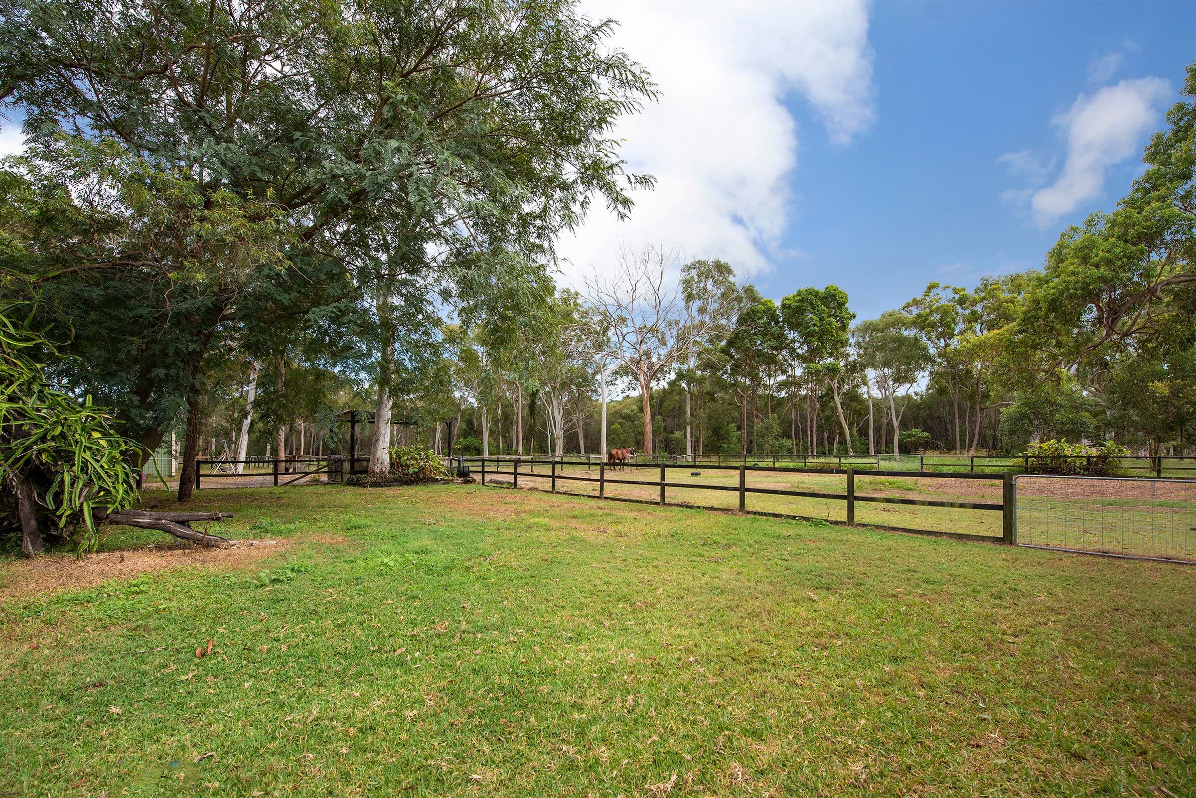 82 Wildsoet Street, Burbank QLD 4156, Burbank - Thumbnail 2