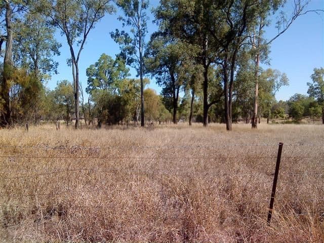3 Station Street, Yuleba QLD 4427, Yuleba - Thumbnail 2