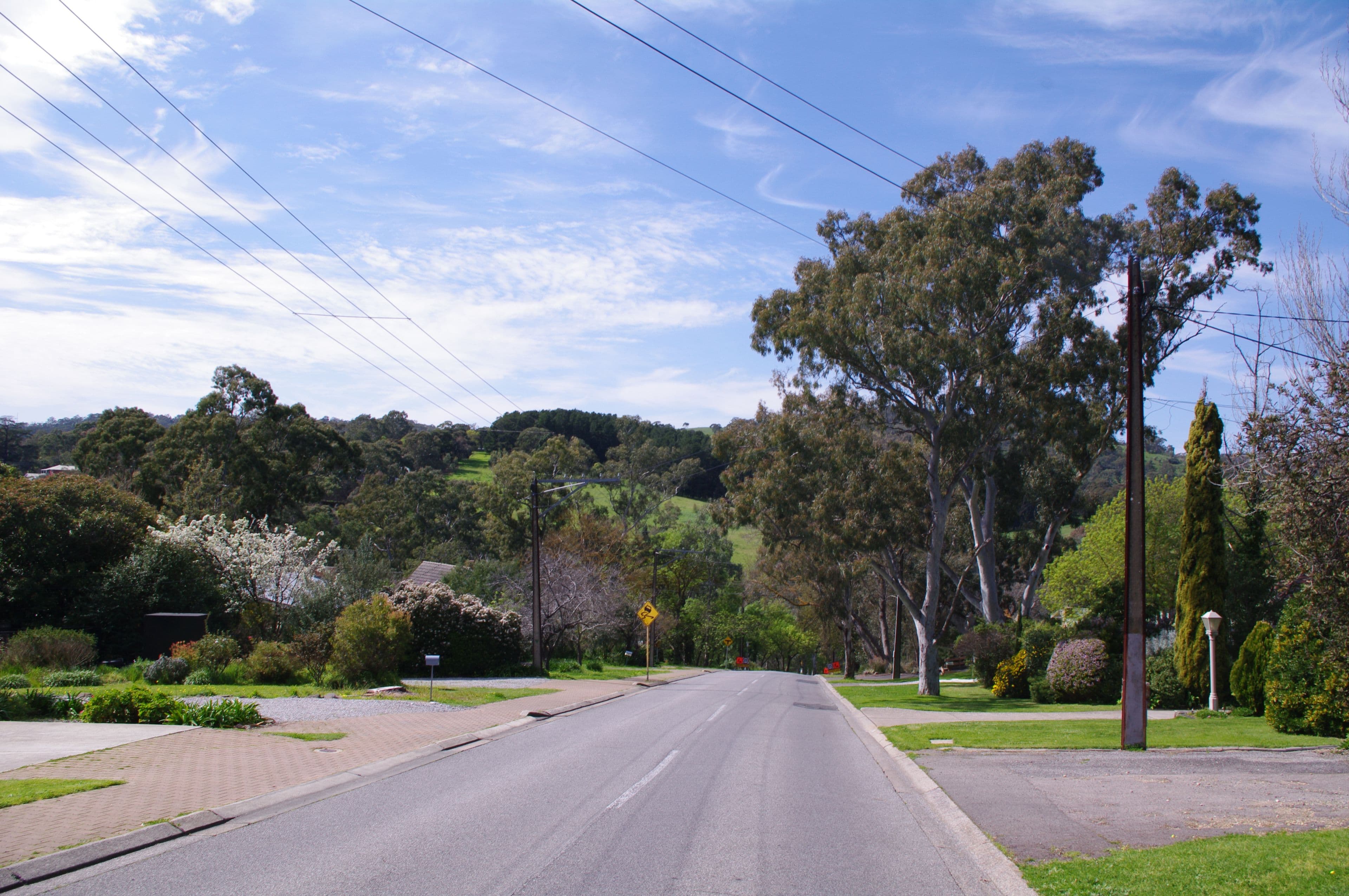 12 Red Road, Blackwood SA 5051, Blackwood - Thumbnail 5