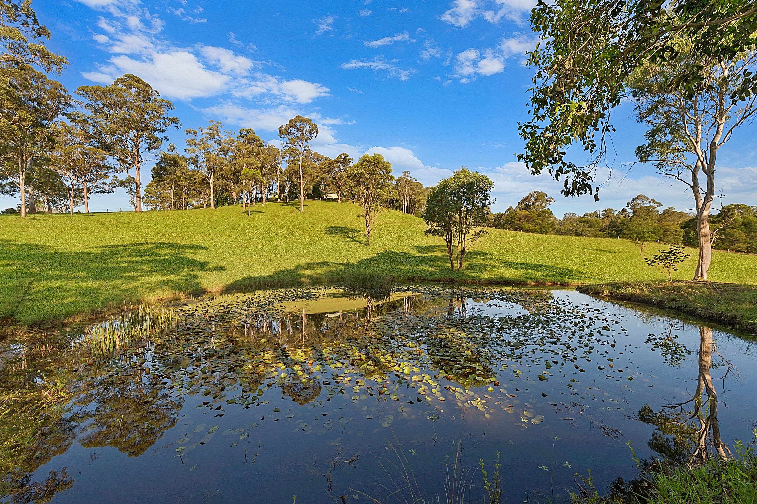49 Comleroy Road, Kurrajong - Thumbnail 3