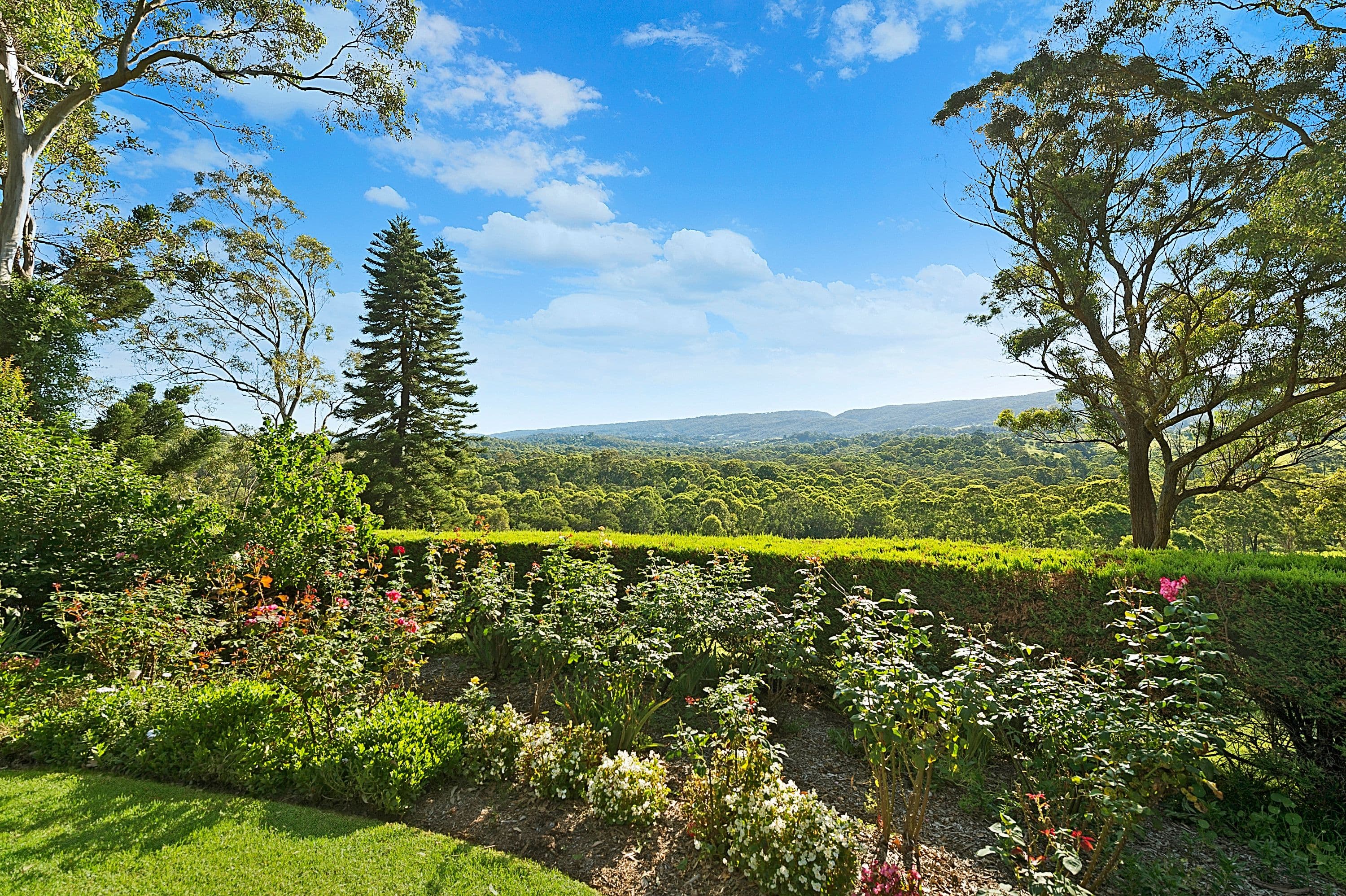 49 Comleroy Road, Kurrajong - Thumbnail 7