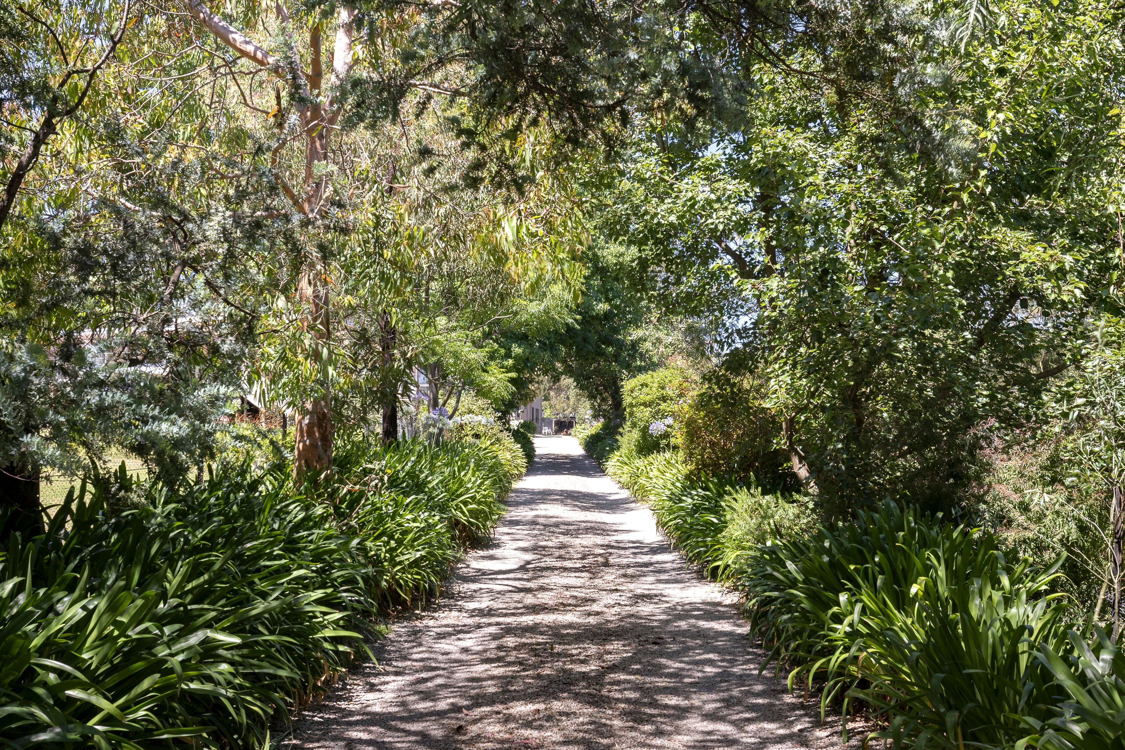 16A Karina Street, Frankston South VIC 3199, Frankston South - Thumbnail 3