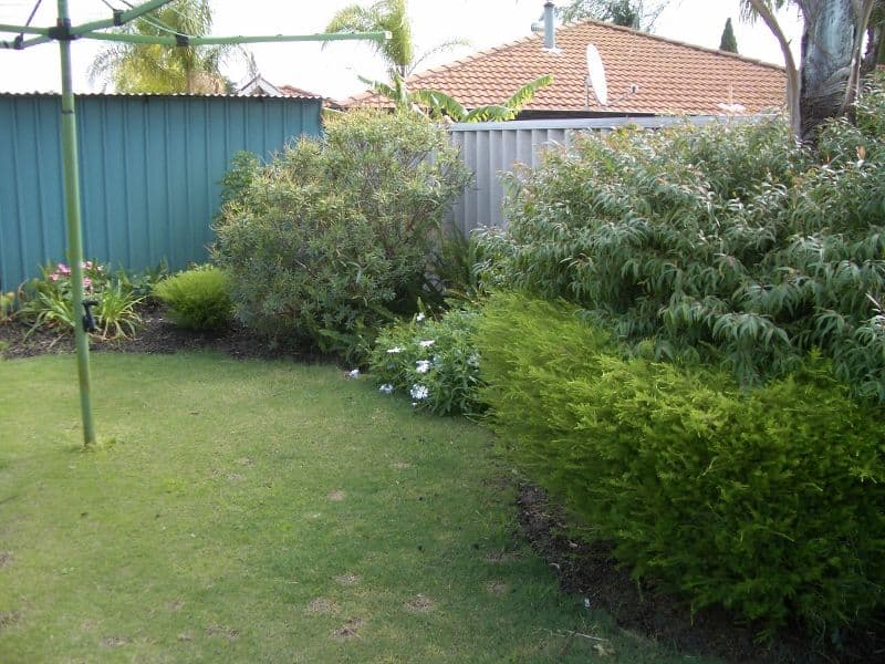 18 Mammoth Court, BALLAJURA WA 6066, Ballajura - Thumbnail 5
