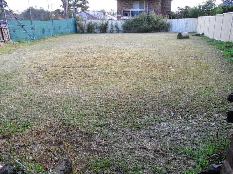 18 Queens Road, HURSTVILLE NSW 2220, Hurstville - Thumbnail 2