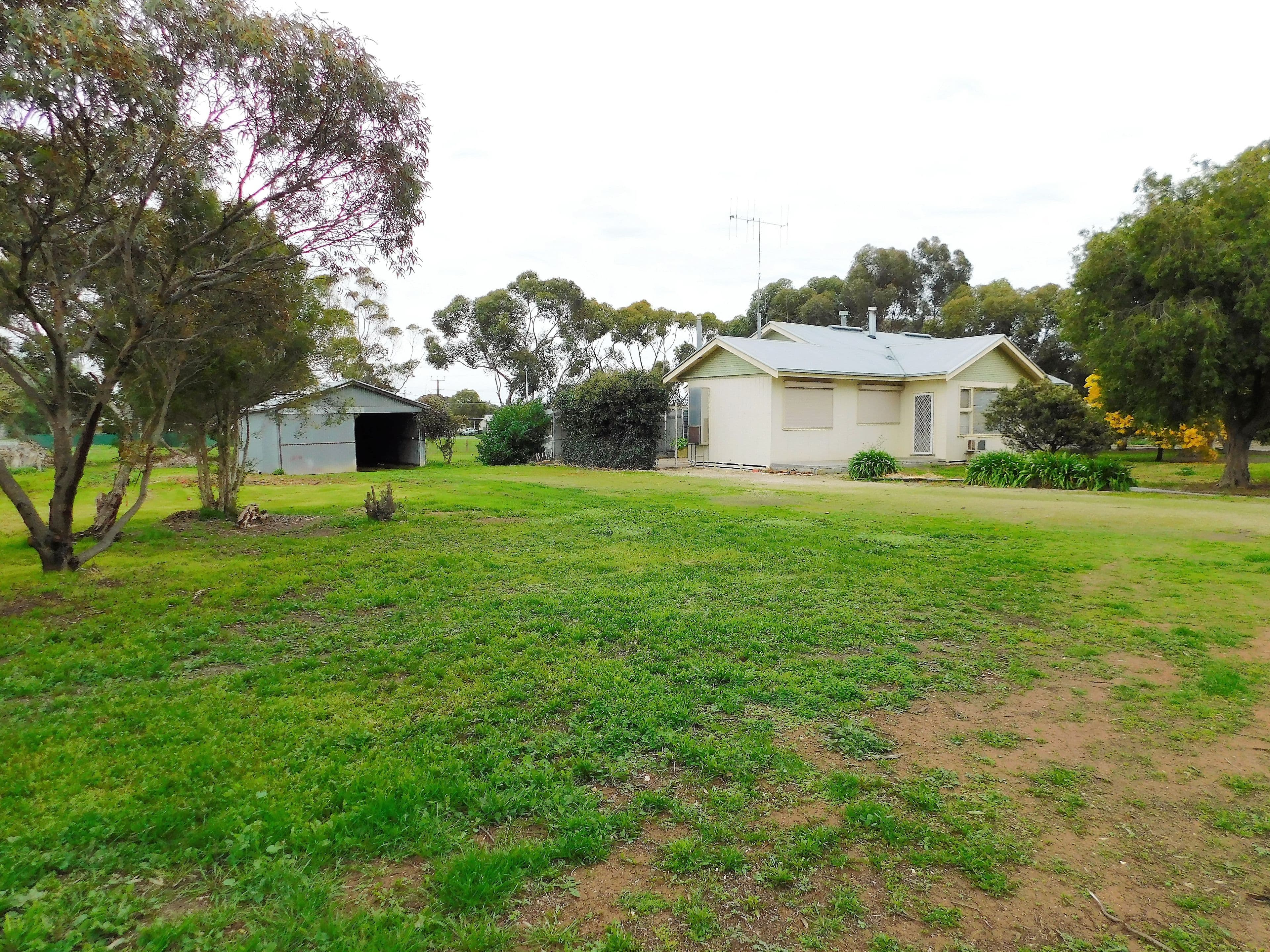 113 Park Terrace, Bordertown SA 5268, Bordertown - Image 1