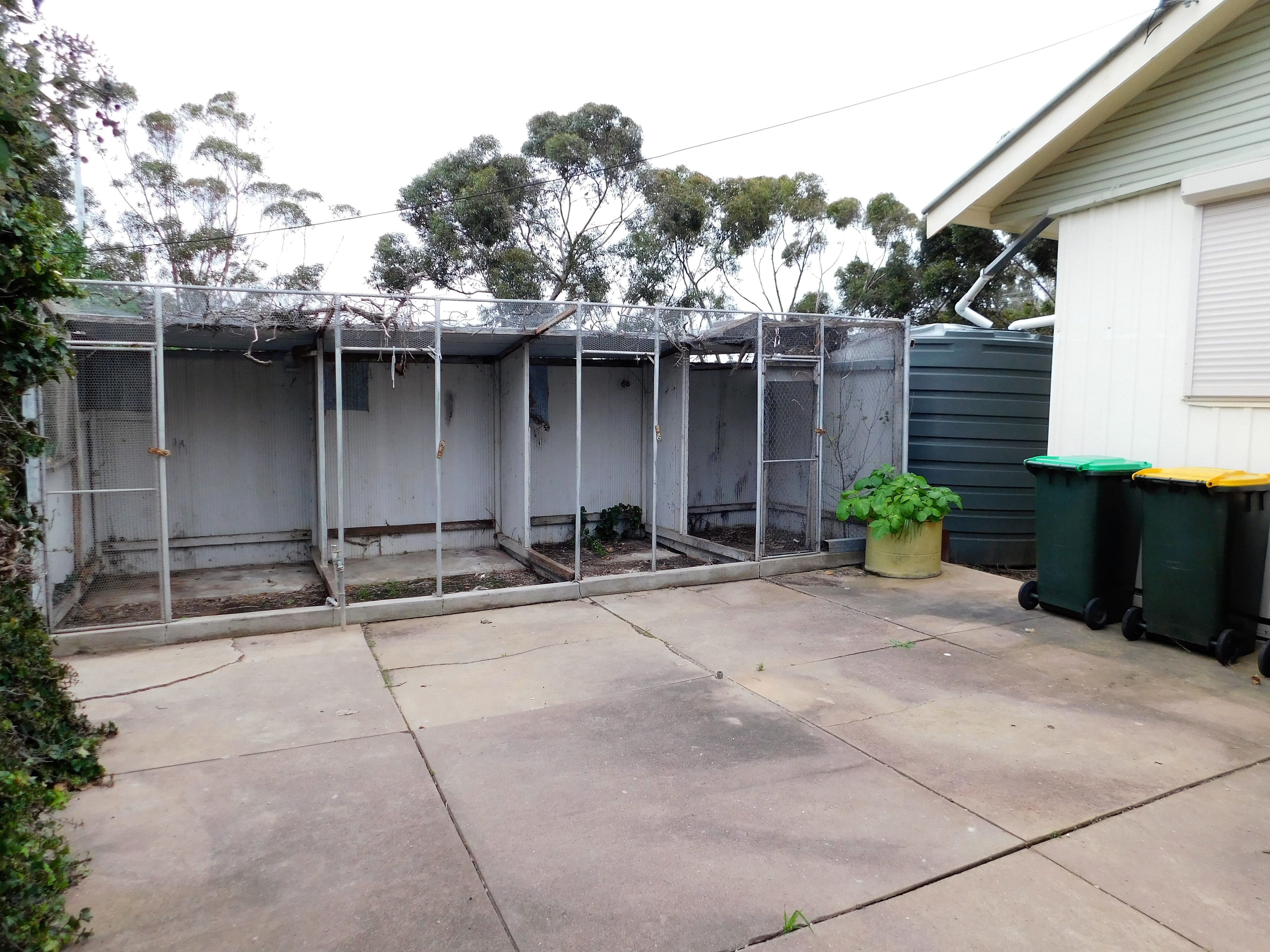 113 Park Terrace, Bordertown SA 5268, Bordertown - Thumbnail 8