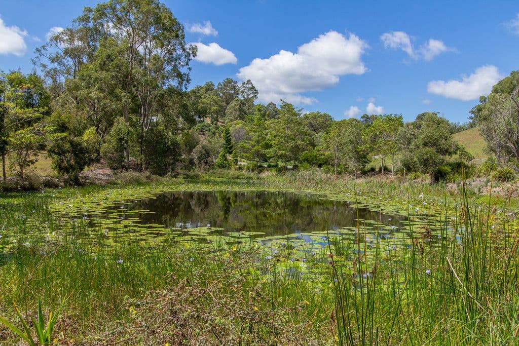 5 Tilia Place, MUDGEERABA QLD 4213, Mudgeeraba - Thumbnail 7