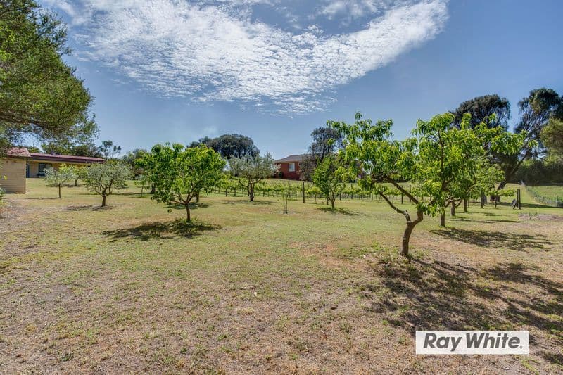 175 Maxwell Road, Fingal VIC 3939, Fingal - Thumbnail 4