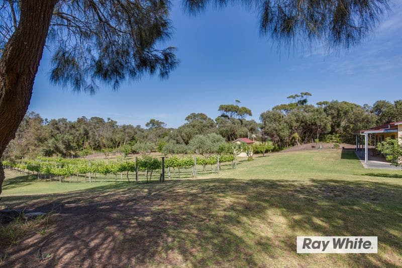 175 Maxwell Road, Fingal VIC 3939, Fingal - Thumbnail 6