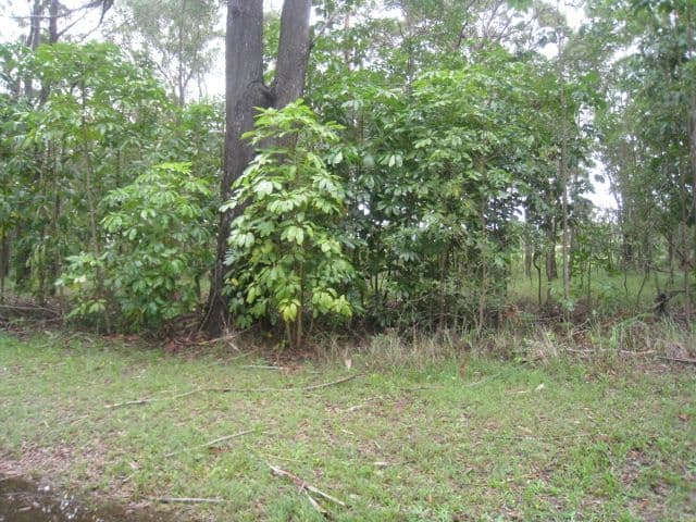 47 Dempsey Street, RUSSELL ISLAND QLD 4184, Russell Island - Thumbnail 2