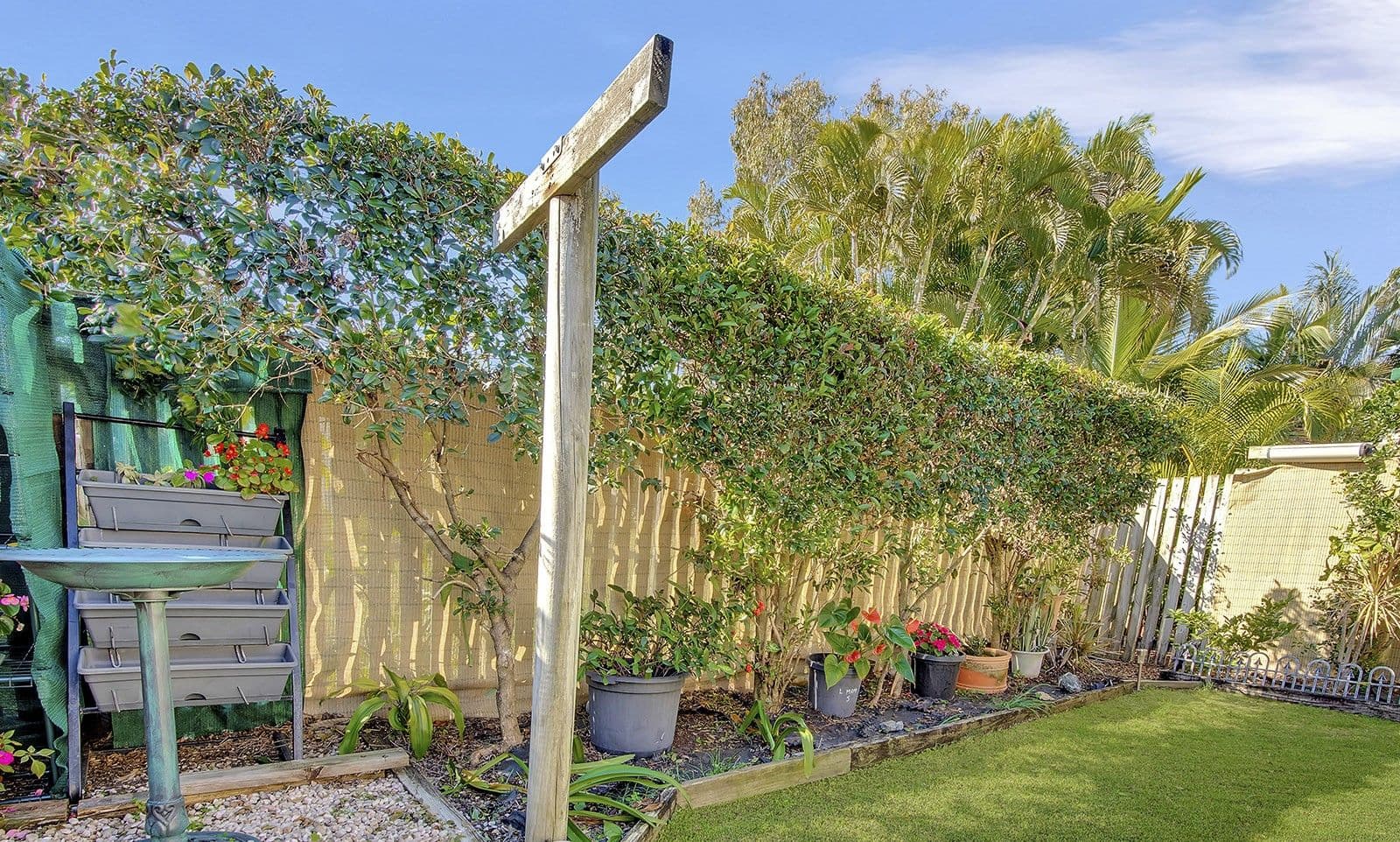97 Whitman Street, Yeppoon QLD 4703, Yeppoon - Thumbnail 8