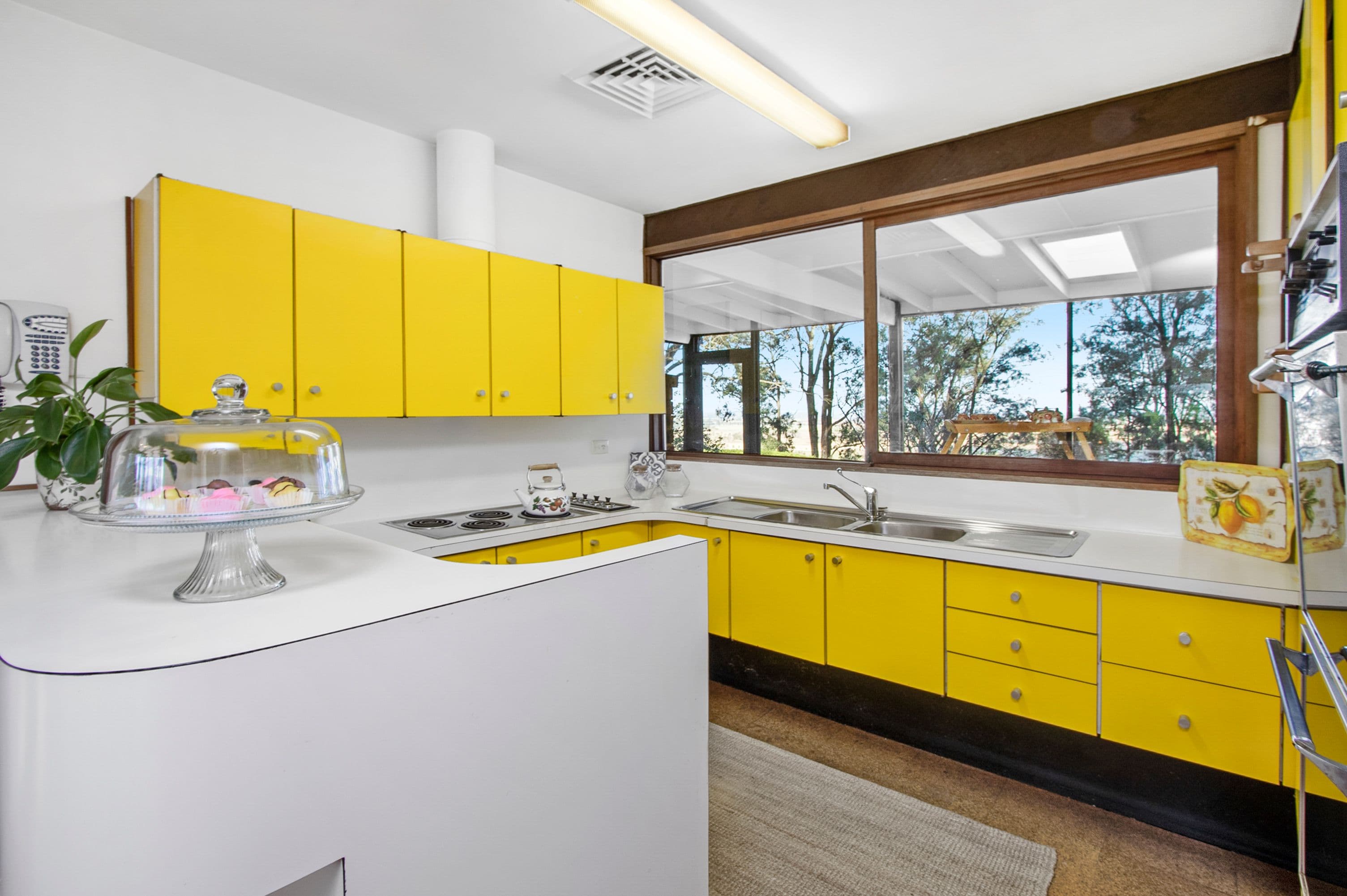 316 Terrace Road, North Richmond - Thumbnail 4