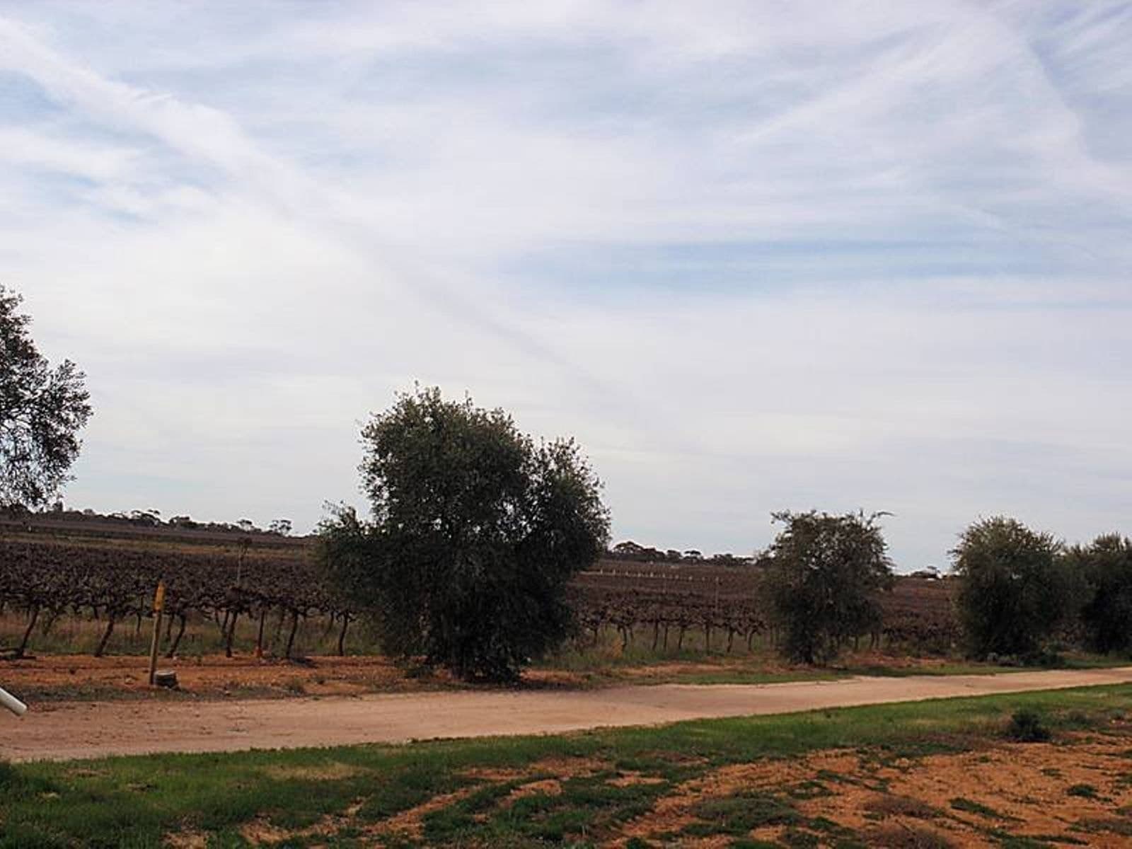 41 Sheoak Avenue, Mildura - Thumbnail 2