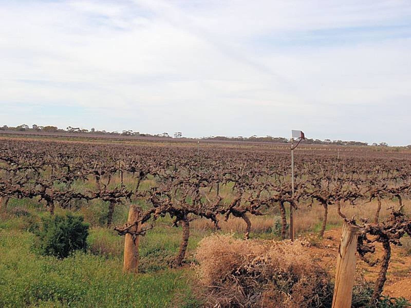 41 Sheoak Avenue, Mildura - Thumbnail 4