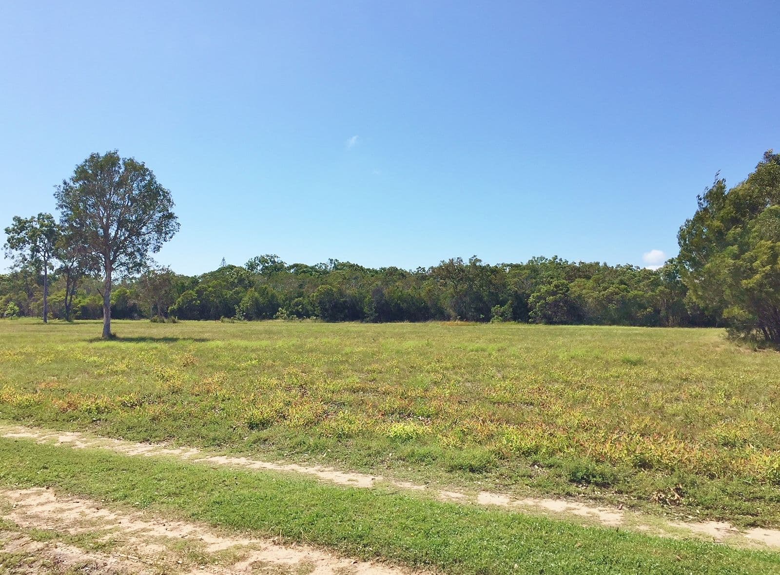 11 Southern Cross Circuit, Urangan QLD 4655, Urangan - Thumbnail 4