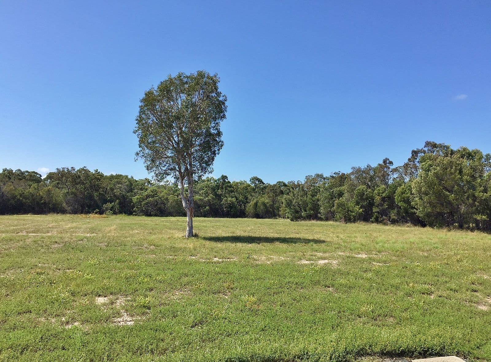 11 Southern Cross Circuit, Urangan QLD 4655, Urangan - Thumbnail 5