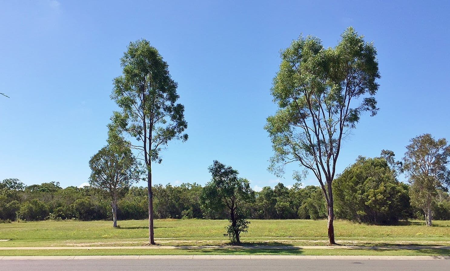 11 Southern Cross Circuit, Urangan QLD 4655, Urangan - Thumbnail 7