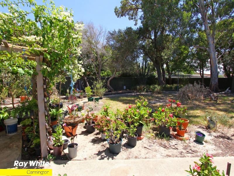 210 Hicks Street, GOSNELLS WA 6110, Gosnells - Thumbnail 6